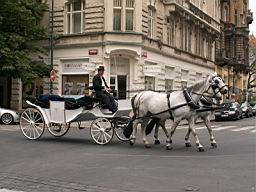 PICT0078.JPG