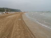 PICT0529.JPG