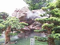 100_0222.JPG