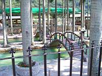 100_0814.JPG